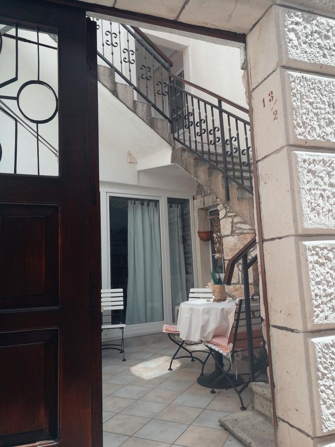 Ani Vela Luka
