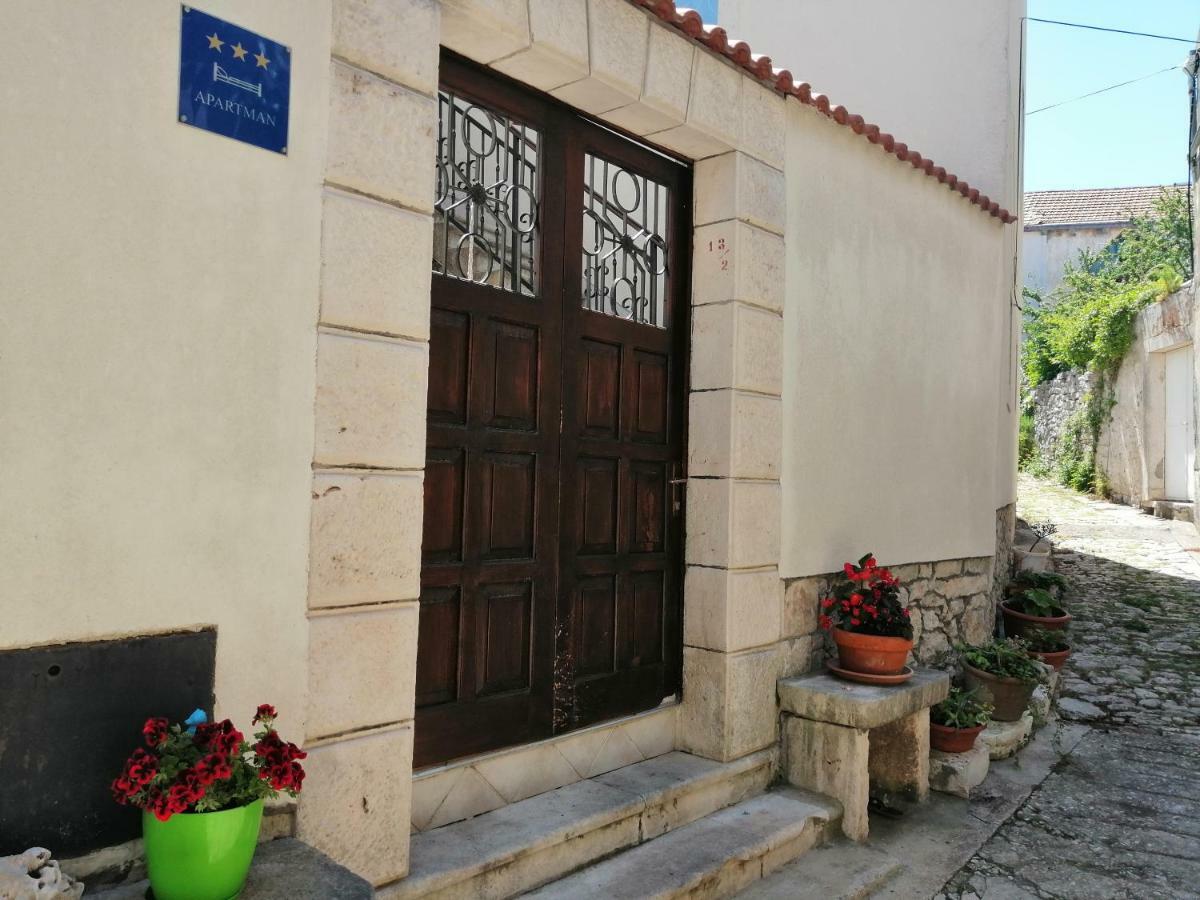 Ani Vela Luka